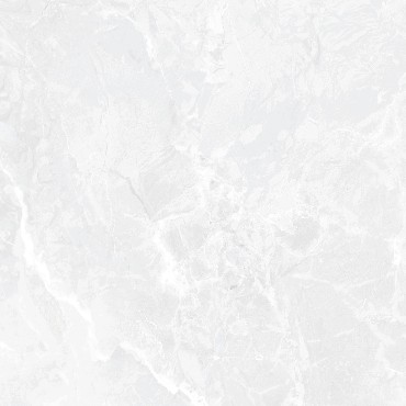 60x120 EARTHSTONE WHITE POLISHED