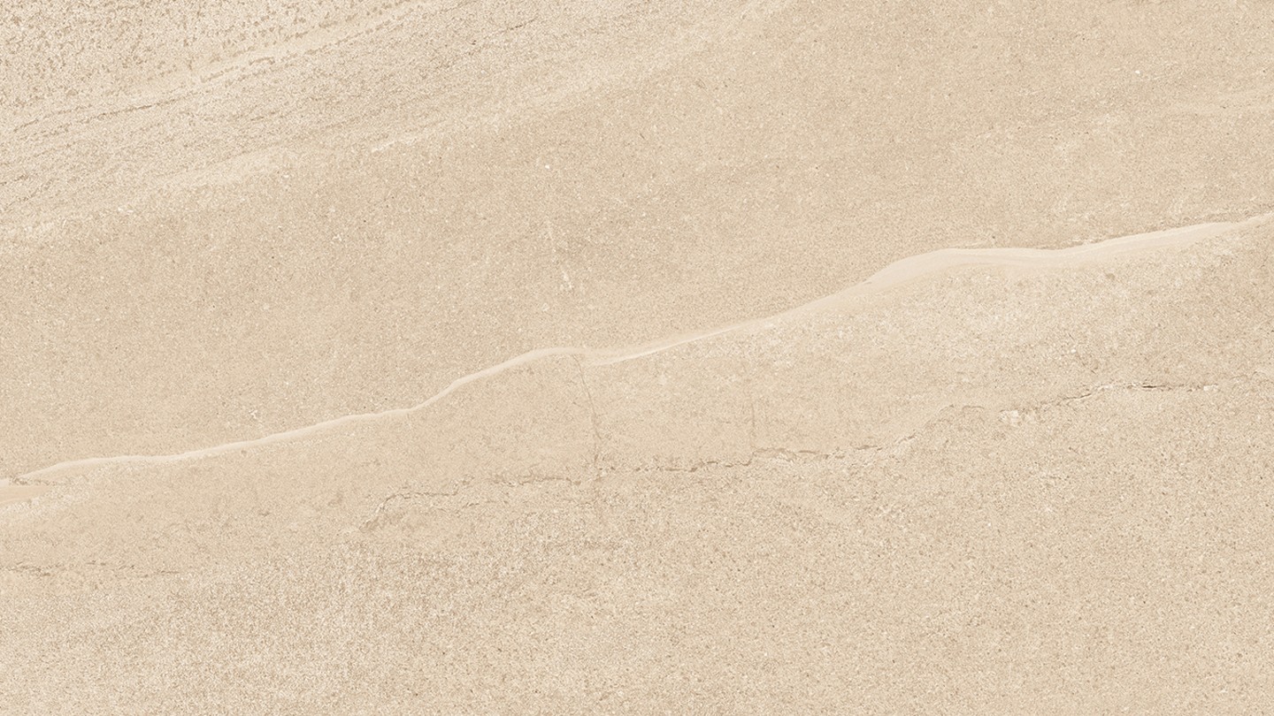 60x120 EDDYSTONE ARENA MATT