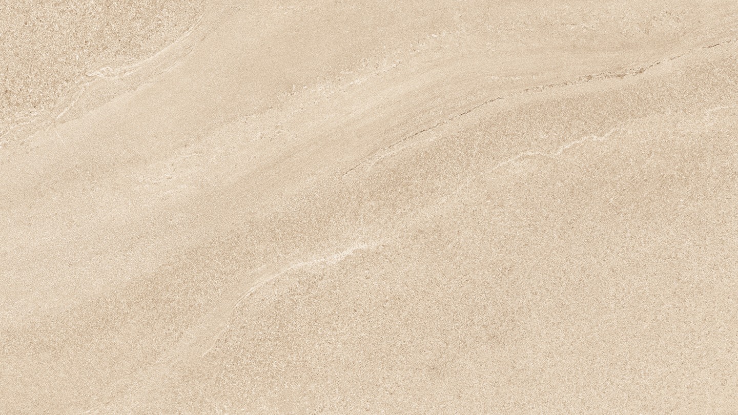 60x120 EDDYSTONE ARENA MATT