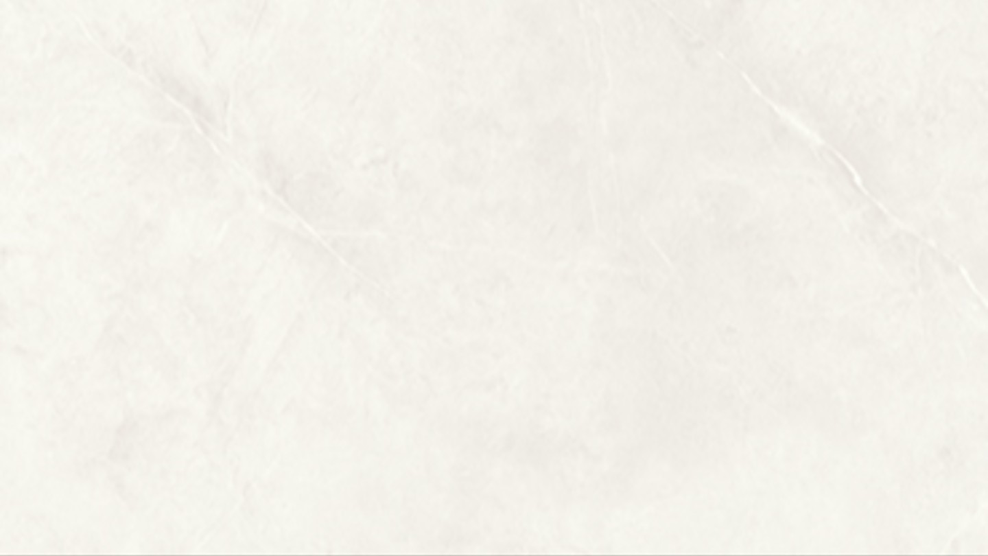60x120 SUTILE BLANCO POLISHED