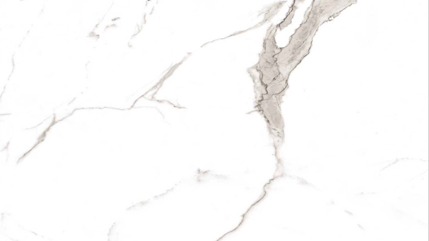 60X60 VIZON CARRARA POLISHED