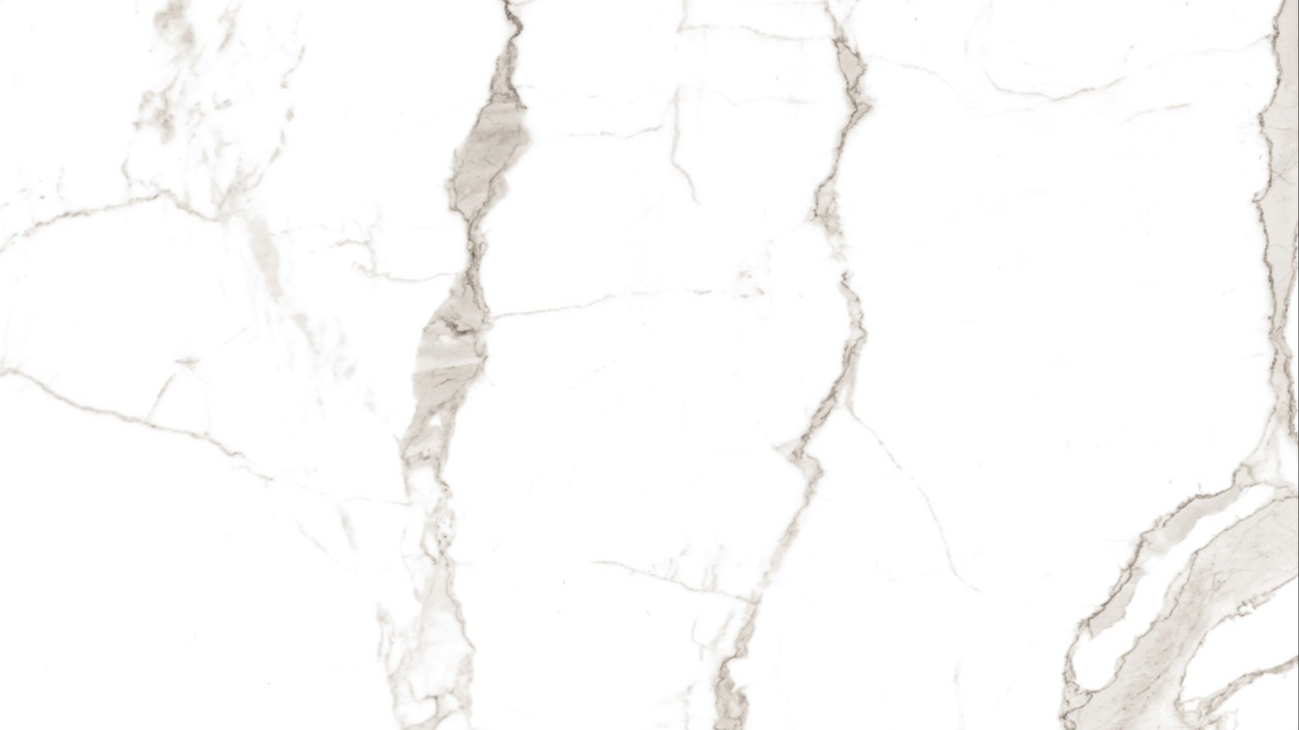 60X60 VIZON CARRARA POLISHED